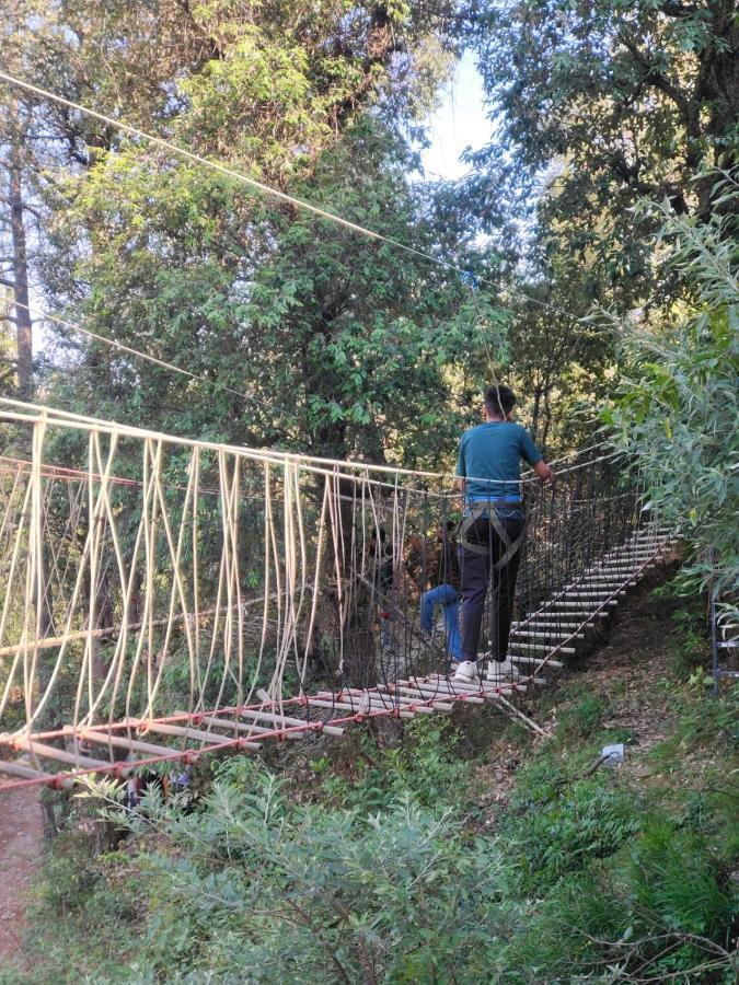 Little Heart Resort Chail Exteriör bild