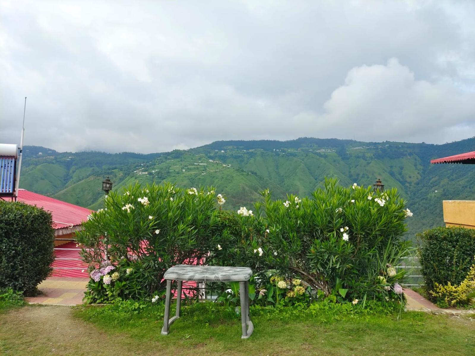 Little Heart Resort Chail Exteriör bild