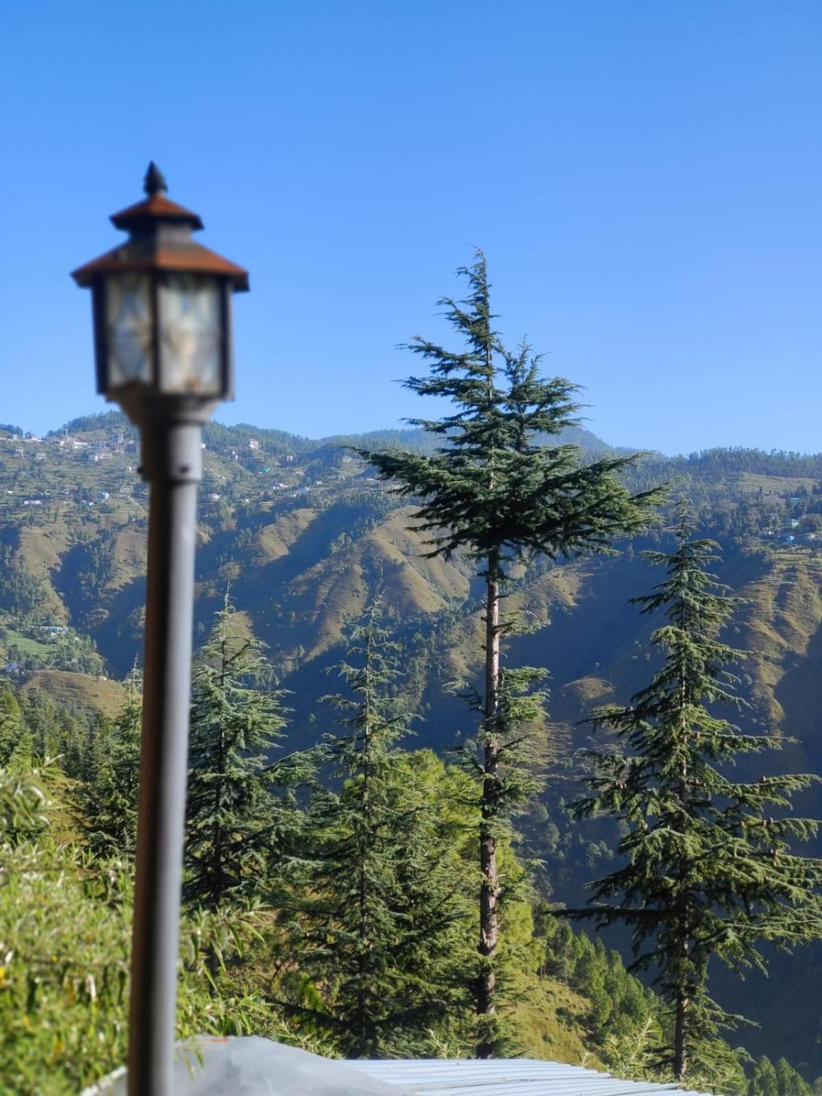Little Heart Resort Chail Exteriör bild