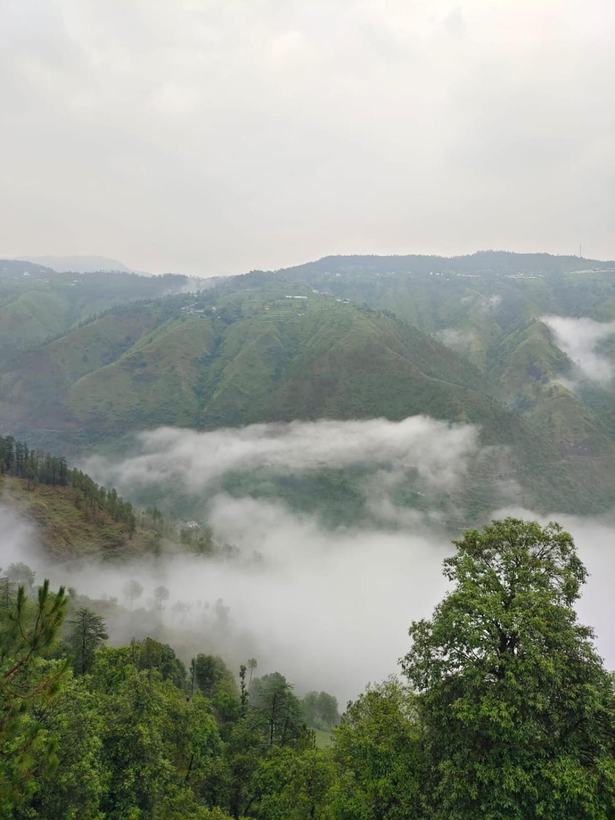 Little Heart Resort Chail Exteriör bild