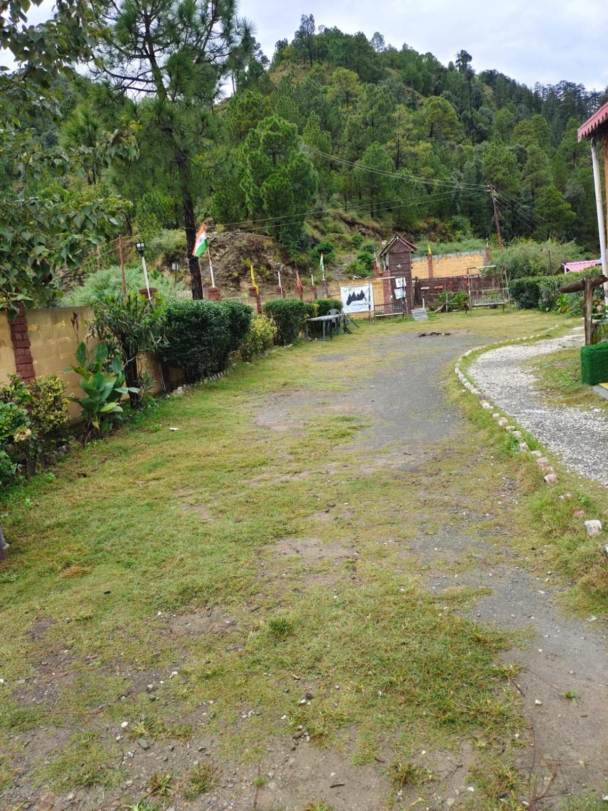 Little Heart Resort Chail Exteriör bild