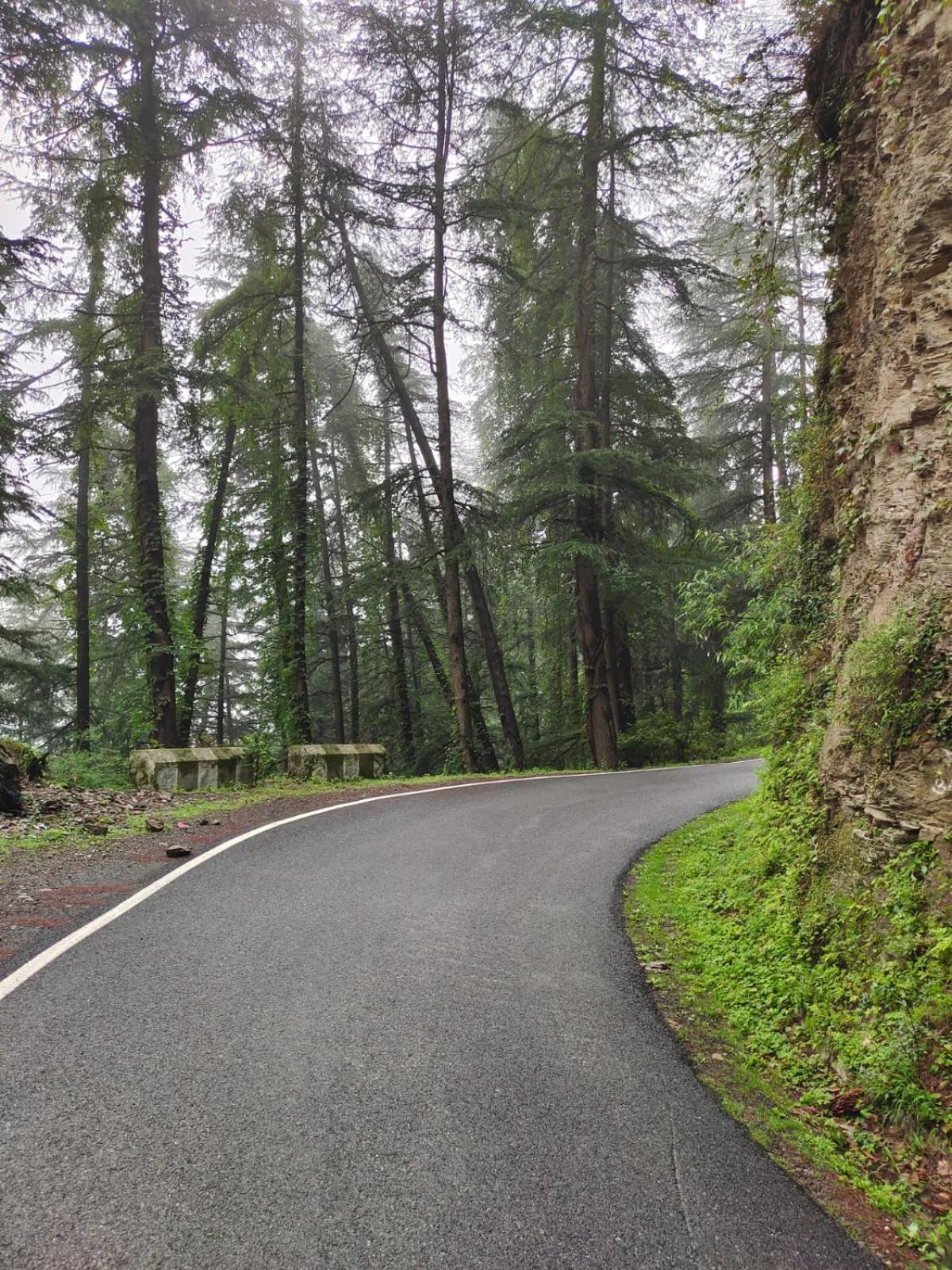 Little Heart Resort Chail Exteriör bild